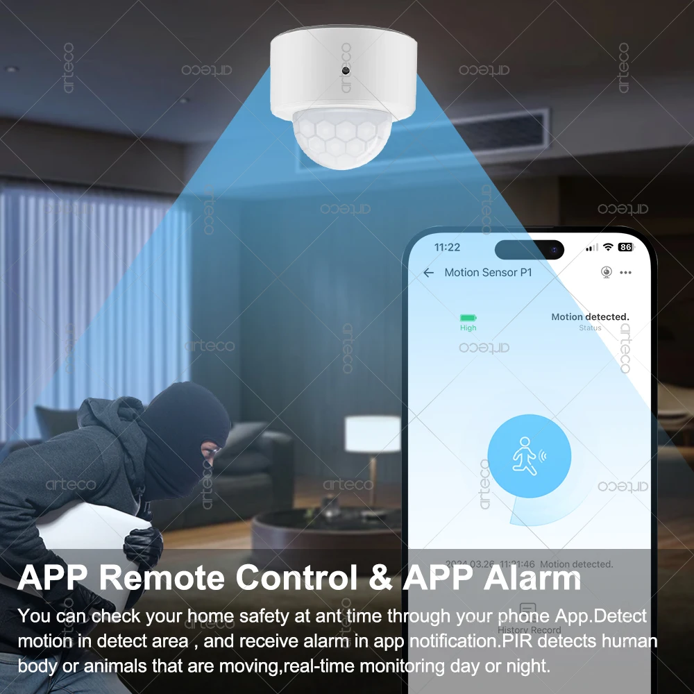 Zigbee Mini détecteur de mouvement PIR capteur PIR intelligent de corps humain capteur d'alarme antivol de sécurité